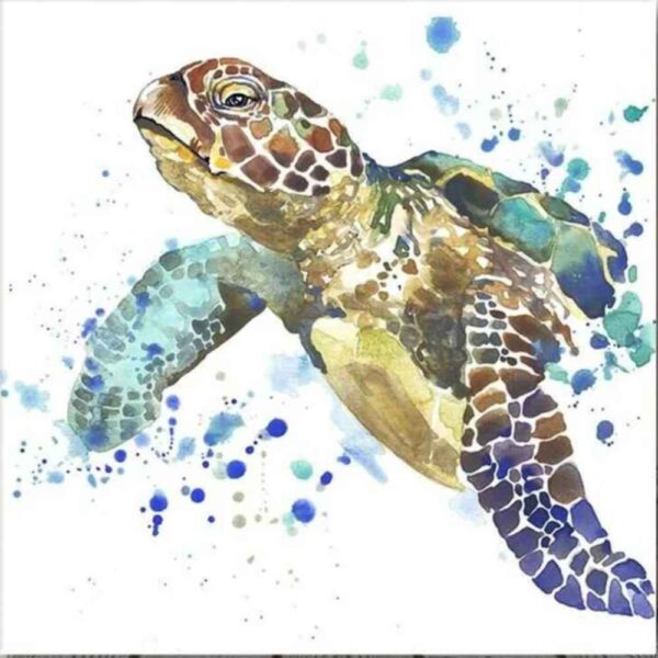 sea-turtle