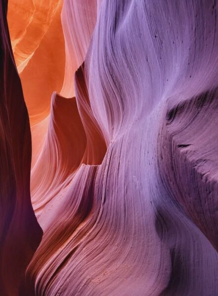 FB_IMG_1762496551310