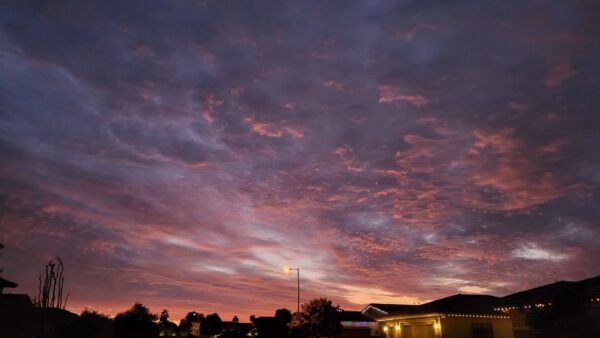 FB_IMG_1767200082131