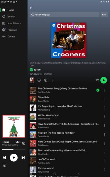 Screenshot_20251218-083031_Spotify