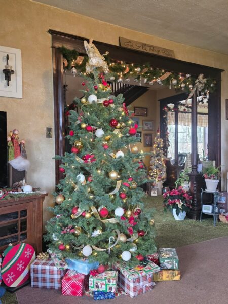 facebook_1766592203573_7409624745817987897