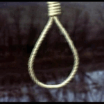 noose