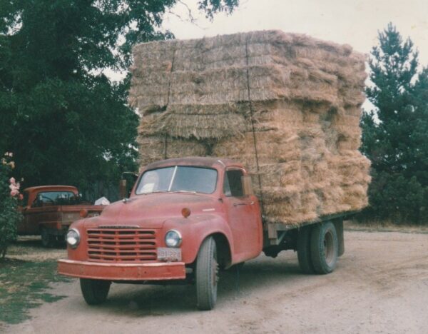 StudeHayLoad
