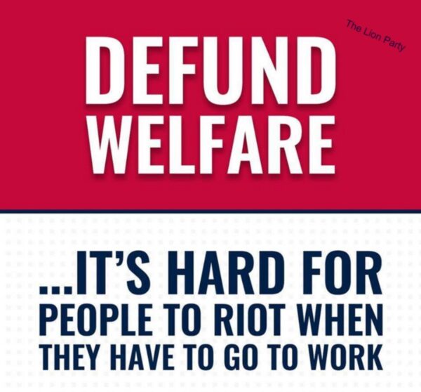 defund-welfare