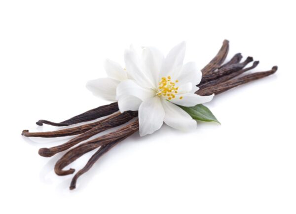 vanilla
