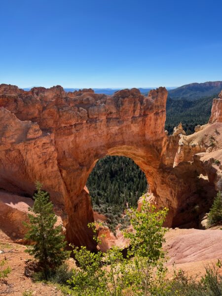 Arch