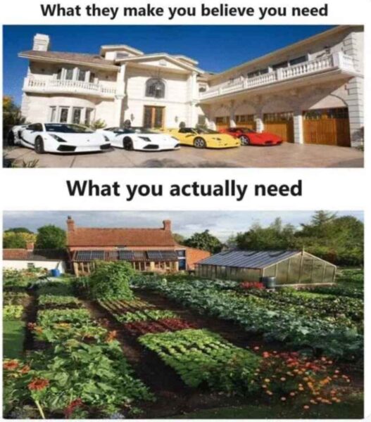 what-you-need